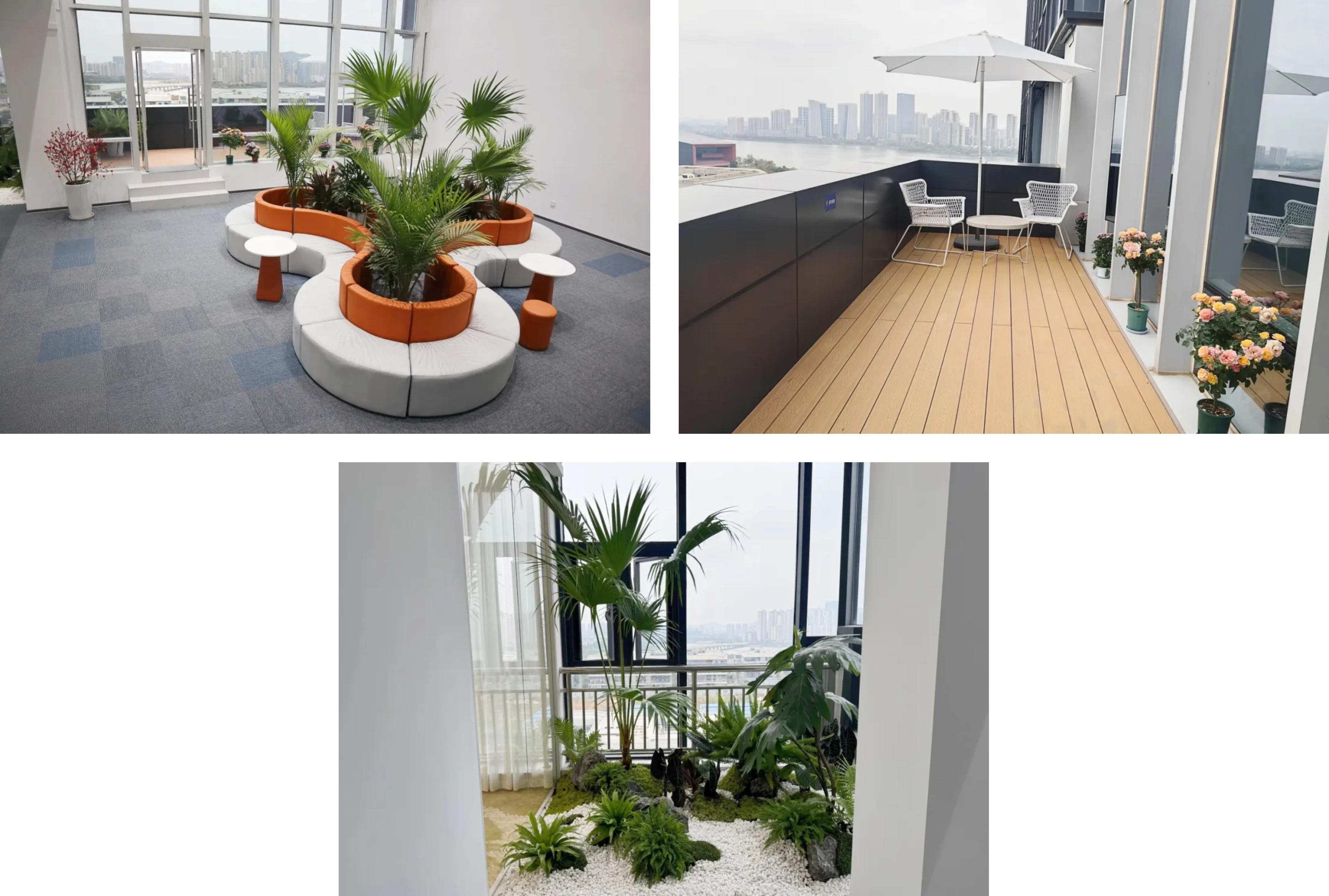 1732603104928378.png 1732603104928378.png